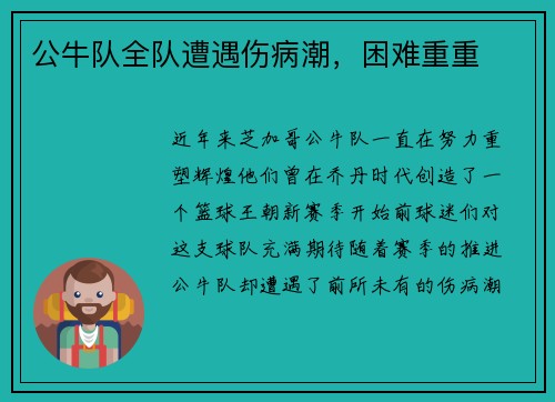 公牛队全队遭遇伤病潮，困难重重